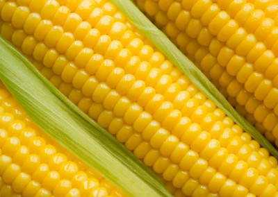 Corn